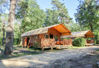 Tienda safari Lodgetent en De Zanding, Países Bajos, rodeada de árboles verdes y naturaleza tranquila.