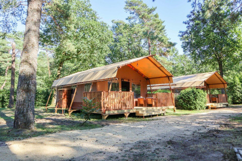 Tente safari Lodgetent à De Zanding aux Pays-Bas, entourée d’arbres verts et de nature paisible.