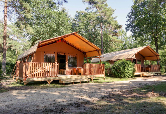Tentes safari Lodgetent dans une forêt verdoyante avec terrasses et coins détente en plein air.
