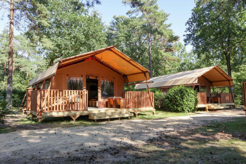 Tiendas safari Lodgetent situadas en un bosque frondoso con terrazas y zonas de descanso al aire libre.