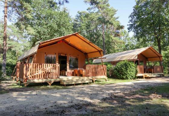 Safari-Zelte Lodgetent in einem grünen Wald mit Veranda und Sitzgelegenheiten unter den Bäumen.