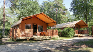 Safari-Zelte Lodgetent in einem grünen Wald mit Veranda und Sitzgelegenheiten unter den Bäumen.