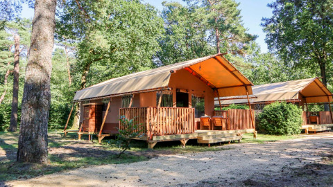 Tente safari Lodgetent à De Zanding, Pays-Bas, entourée d’arbres et de nature par temps ensoleillé.