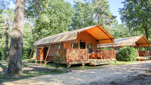 Tienda de safari llamada Lodgetent en De Zanding, Países Bajos, rodeada de árboles y naturaleza en un día soleado.