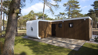 Lodge Modus L à façade bois et coin blanc arrondi, entouré de pins et d’un espace extérieur ensoleillé.