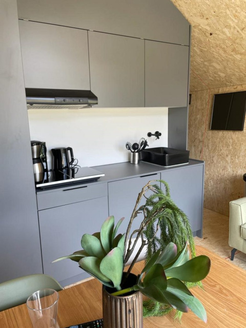 Cocina gris moderna en una cabaña Solo Retreat en De Zanding, Países Bajos, con plantas sobre la mesa.