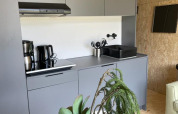 Modernes graues Kücheninterieur in einer Solo Retreat-Lodge bei De Zanding, Niederlande, mit Pflanzen.