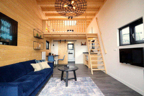Interno di tiny house moderno con soppalco, divano blu, pareti in legno e scala salvaspazio nei Paesi Bassi.