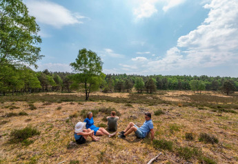 Fire personer slapper af i det fri nær et glamping-område omgivet af grøn skov og åben natur.