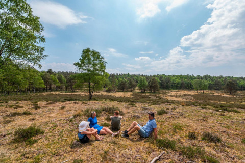 Cuatro personas descansan al aire libre en un alojamiento glamping, rodeadas de naturaleza y árboles verdes.