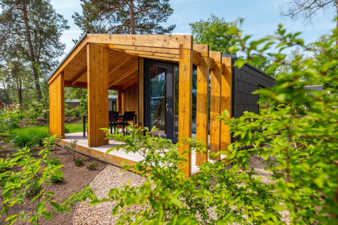 Casa pequeña Panorama Cottage con porche de madera, rodeada de vegetación y árboles en la naturaleza.