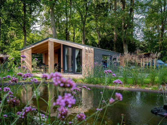 Panorama Cottage tiny house at De Hooge Veluwe, Netherlands, surrounded by woods and flowers by a pond.