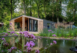 Lille træhus Panorama Cottage ved De Hooge Veluwe i Holland, omgivet af skov og blomstrende have ved en dam.
