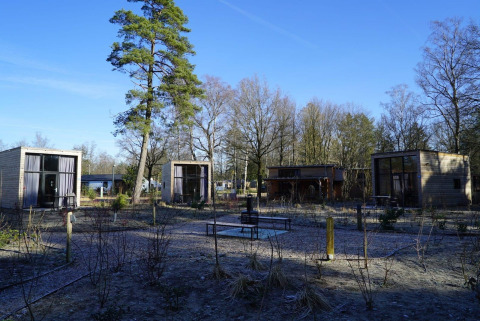 Flere små træhytter på Tiny House De Hooge Veluwe lodge i Holland, omgivet af træer og blå himmel.