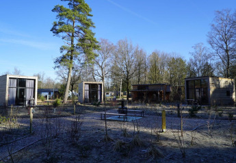 Flere små træhytter på Tiny House De Hooge Veluwe lodge i Holland, omgivet af træer og blå himmel.