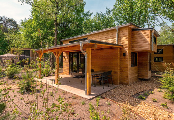 Lodge Tiny House moderne en bois au cœur de la forêt avec terrasse couverte et mobilier de jardin