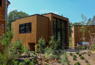 Moderne Tiny House lodge ved De Hooge Veluwe i Holland, omgivet af natur og træer, solrig dag.
