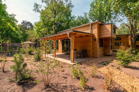 Tiny House lodge au De Hooge Veluwe, Pays-Bas, entouré d’arbres verts et d’un jardin ensoleillé.