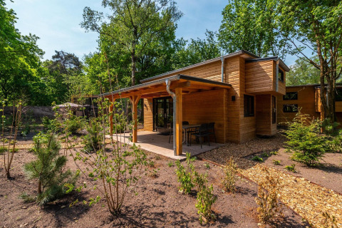 Træhytte Tiny House ved De Hooge Veluwe, Holland, omgivet af grønne træer og have i solskin.