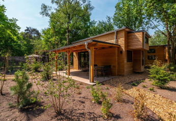 Træhytte Tiny House ved De Hooge Veluwe, Holland, omgivet af grønne træer og have i solskin.