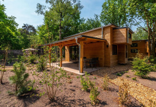 Tiny House lodge en De Hooge Veluwe, Países Bajos, rodeada de árboles verdes y jardín soleado.