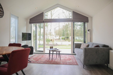 Modernes Wohnzimmer in der Forest Lodge bei De Hooge Veluwe, Niederlande, mit großen Fenstern und grauem Sofa.