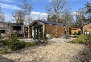 Moderna cabaña Forest Lodge en De Hooge Veluwe, Países Bajos, rodeada de árboles y patio con muebles exteriores.