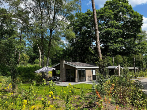 Moderne lodge Hackfort 6 blandt frodige grønne træer og blomstrende buske under en blå himmel.