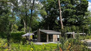 Moderne lodge Hackfort 6 tussen groene bomen en bloemenweelde onder een stralend blauwe lucht.