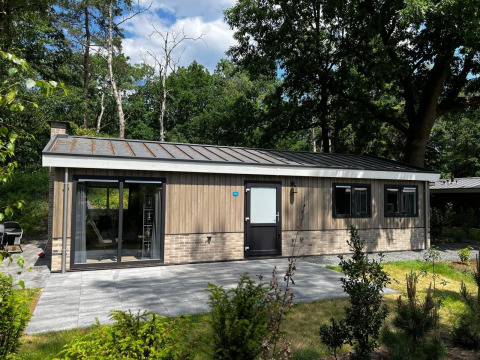Lodge Hackfort 6 ved De Hooge Veluwe i Holland, omgivet af skov og terrasse, set i solskin.