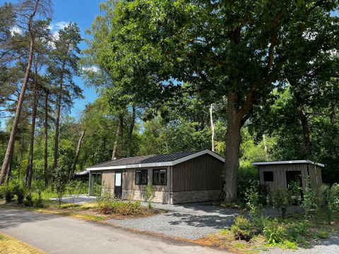 Et hyggeligt træhus ved navn Hackfort 6 i De Hooge Veluwe, Holland, omgivet af grønne træer en solskinsdag.