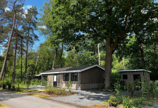 Et hyggeligt træhus ved navn Hackfort 6 i De Hooge Veluwe, Holland, omgivet af grønne træer en solskinsdag.