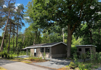 Een knusse lodge genaamd Hackfort 6 in De Hooge Veluwe, Nederland, omgeven door groene bomen en natuur.