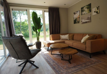 Moderne og hyggelig stue på Cube-lodge ved EuroParcs Ruinen med store vinduer, sofa og grøn plante.