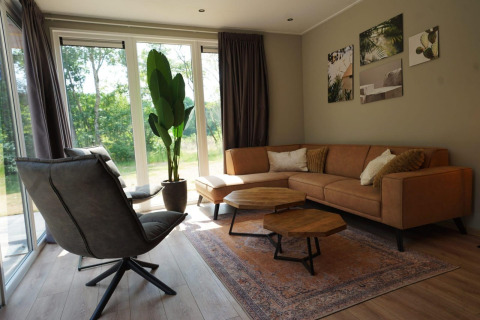 Moderne og hyggelig stue på Cube-lodge ved EuroParcs Ruinen med store vinduer, sofa og grøn plante.