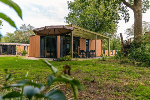 Moderne Cube-lodge bij EuroParcs Ruinen in Nederland, omringd door groen gazon en hoge bomen.