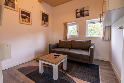 Moderne woonkamer in Cube lodge bij EuroParcs Ruinen, Nederland, met bank, tafel, kunst en ramen.