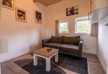 Cozy living room at Cube lodge, EuroParcs Ruinen, Netherlands, with sofa, coffee table, art, and windows.