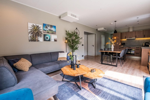 Salón moderno con sofá gris, mesas de madera y cocina abierta en Cube Hot tub del EuroParcs Ruinen.