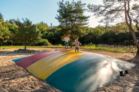 Kinderen spelen op een grote kleurrijke springkussen in het zand op een glampinglocatie tussen de bomen.