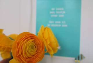 Fleur de renoncule jaune nette sur fond d'affiche bleue floue au Beach house 'Dishoek 60' à Zeeland, Pays-Bas.