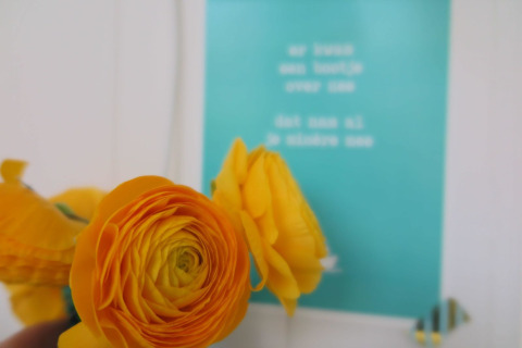 Fiore di ranuncolo giallo a fuoco con un poster blu sfocato nella Beach house 'Dishoek 60' a Zeeland, Paesi Bassi.