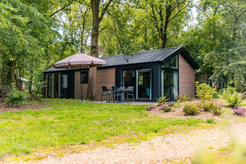 Moderne Velthorst-lodge bij EuroParcs Ruinen in Nederland, omringd door bomen en een terras met stoelen.