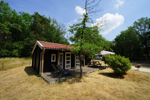 Vista exterior de la acogedora cabaña Drentse kap en EuroParcs Ruinen, Países Bajos, rodeada de naturaleza.