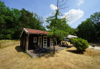 Vista exterior de la acogedora cabaña Drentse kap en EuroParcs Ruinen, Países Bajos, rodeada de naturaleza.
