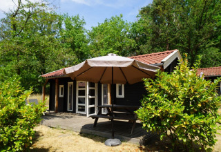 Vue extérieure du lodge Drentse kap à EuroParcs Ruinen, Pays-Bas, avec terrasse, table et parasol.
