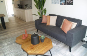 Sala de estar en Forest Lodge de EuroParcs Ruinen con sofá gris, mesa de madera, plantas y decoración moderna.