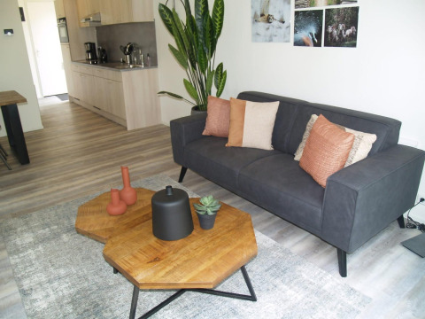 Sala de estar en Forest Lodge de EuroParcs Ruinen con sofá gris, mesa de madera, plantas y decoración moderna.