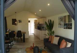 Interior moderno de una cabaña con sofá, mesa de comedor, cocina y plantas en Forest Lodge, EuroParcs Ruinen.