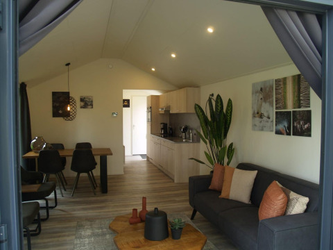 Interior moderno de una cabaña con sofá, mesa de comedor, cocina y plantas en Forest Lodge, EuroParcs Ruinen.
